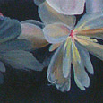 Begonia Painting